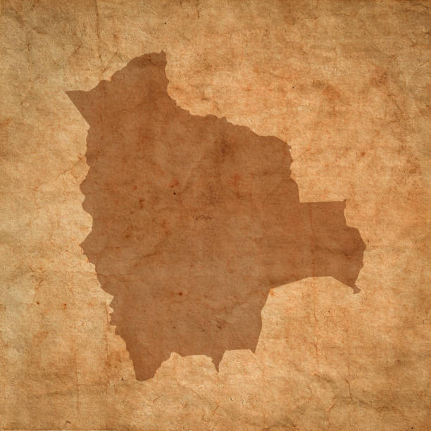 istock Bolivia map on old brown grunge paper 1455701525