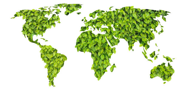 istock tree leaves world map - concept of bioenergy 1455703018