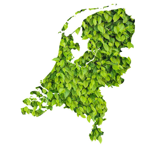 3D Render of a Country Map of the Benelux Region.\nMade with Natural Earth. \nhttps://www.naturalearthdata.com/downloads/10m-cultural-vectors/\nAll source data is in the public domain.