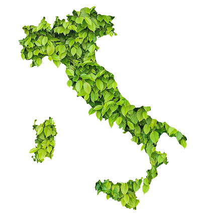 tree leaves map of Italy - concept of bioenergy