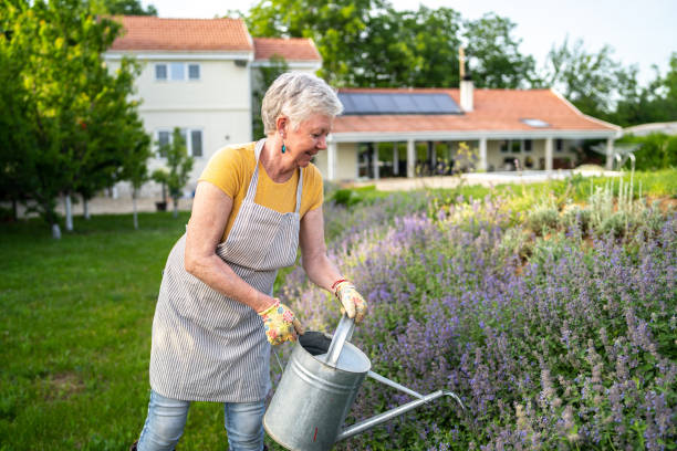 istock A retired woman watering her flowers 1455704925