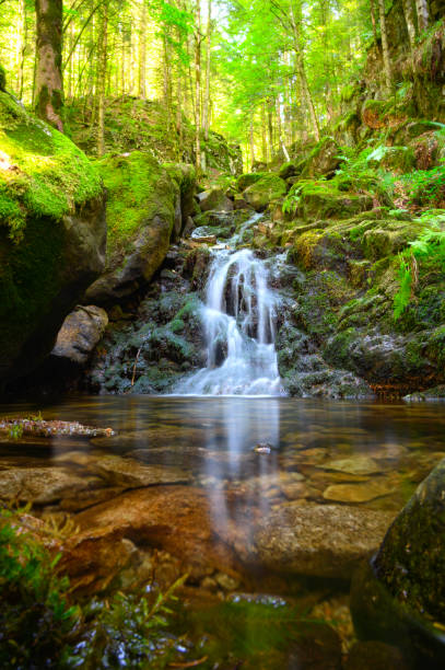 Waterfall in the Vosges Cascade de Battion near Rochesson in a forest landscape during summer. Long exposure photo with smooth water falling down the rocks in the small forest stream.