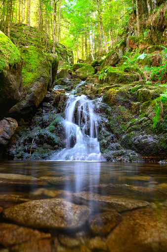 Waterfall in the Vosges Cascade de Battion near Rochesson in a forest landscape during summer. Long exposure photo with smooth water falling down the rocks in the small forest stream.