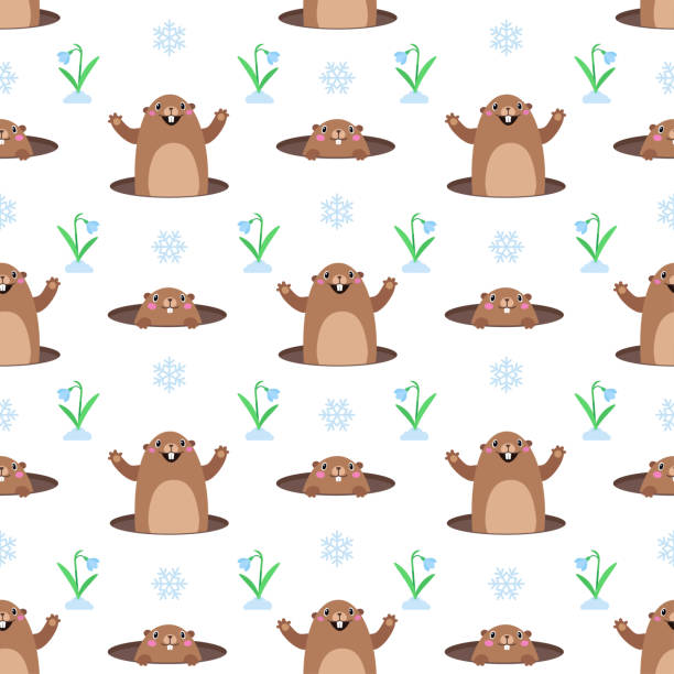 ilustraciones, imágenes clip art, dibujos animados e iconos de stock de patrón sin costuras con linda marmota de dibujos animados, copo de nieve y flor. ilustración vectorial - seamless pattern meteorology snowflake