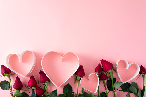 Red roses on pink background with copy space for Valentine’s and Mother’s Day concept