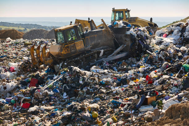 istock Heavy machinery shredding garbage in an open air landfill. Pollution 1455707055