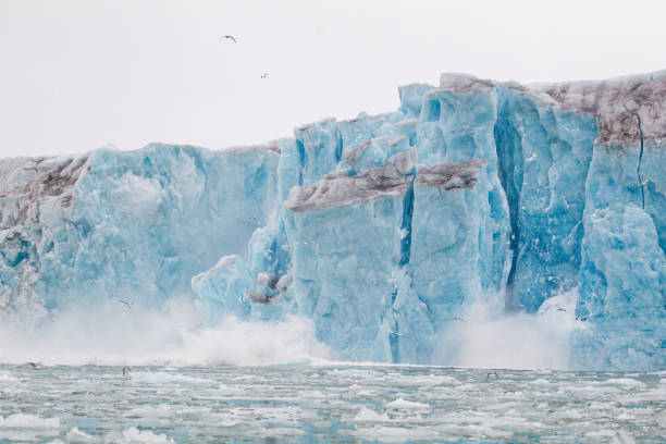 Glacial ice floating and calving in the Arctic landscape.