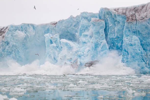 istock Glacial ice floating and calving in the Arctic landscape. 1455713640