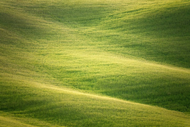 Rolling hills in Tuscany taken in May 2022