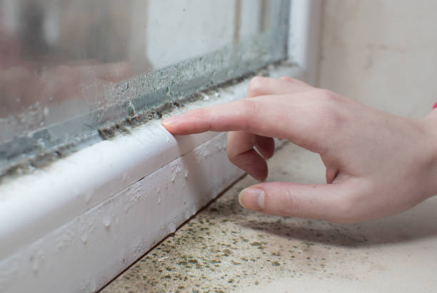 istock Black mold fungus growing on windowsill. Dampness problem concept. Condensation on the window. 1455715873