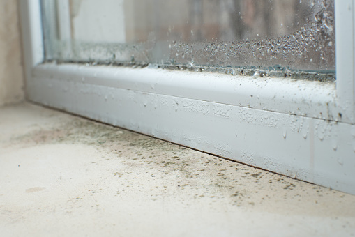 Hongo de moho negro que crece en el alféizar de la ventana. Concepto de problema de humedad. Condensación en la ventana. photo