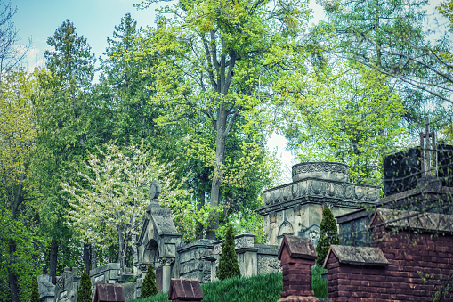 Lviv, Ukraine - 01 May 2022: Lychakiv Cemetery with antique tombstones. Graves, monuments and crypts in old spring graveyard behind brick wall. Ancient sadness churchyard in woods