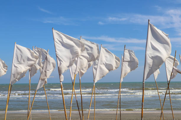 istock White flags blowing at the beach on clear blue sky day 1455721656