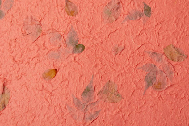 istock Mulberry paper texture background in close-up. 1455724821