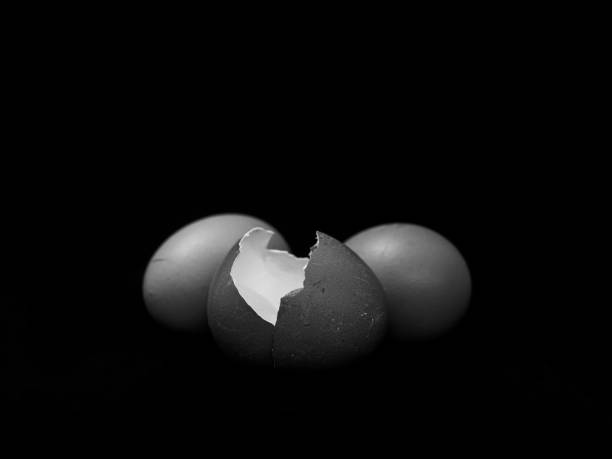 istock Grayscale closeup of eggs on a dark background 1455726818