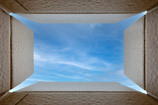 Looking at the sky from inside the cardboard box