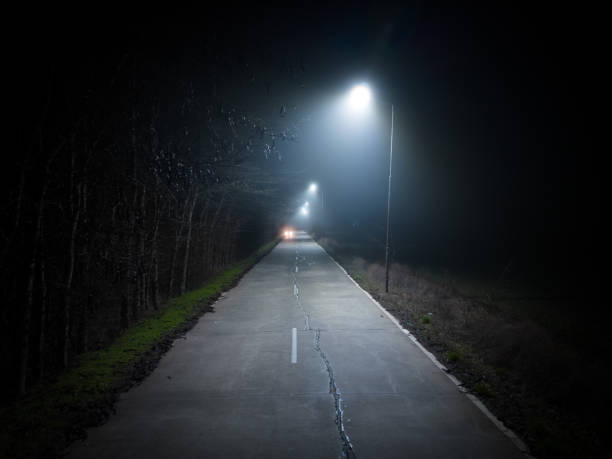 istock A trip on a rural forest road in a fog at night 1455728021