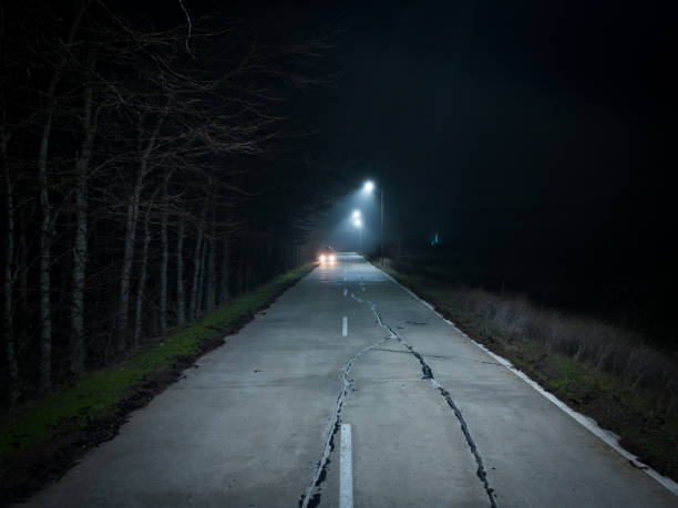 istock A trip on a rural forest road in a fog at night 1455728044
