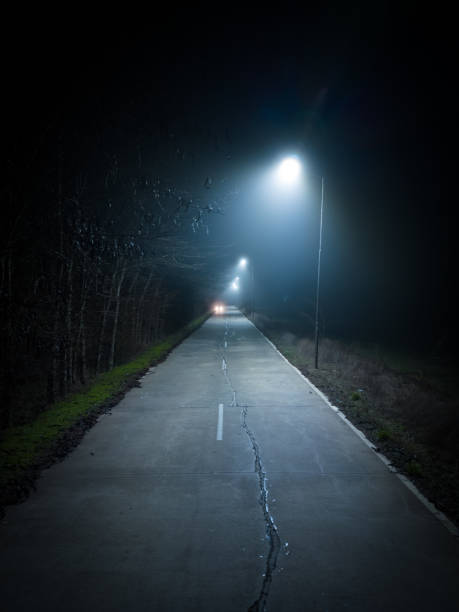 istock A trip on a rural forest road in a fog at night 1455728048