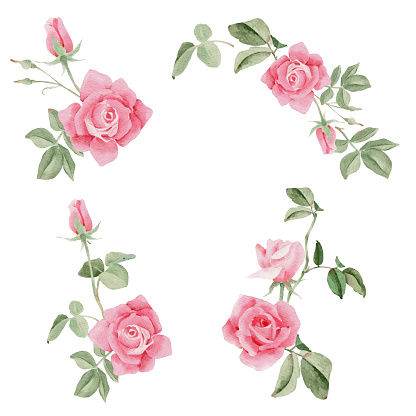 imágenes prediseñadas de flor rosa vector gratis imágenes prediseñadas de flor rosa vector gratis