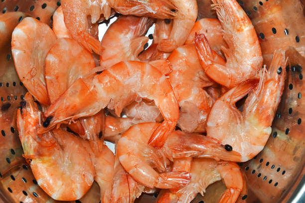 istock fresh shrimp. seafood. cooking. background for the design. 1455732096