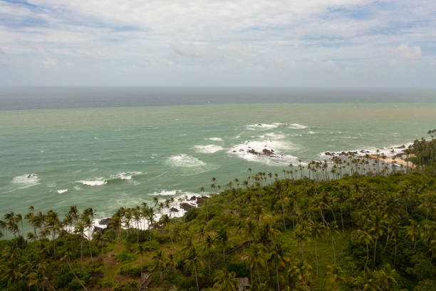 istock Ocean and palm trees. Sri Lanka. 1455735105