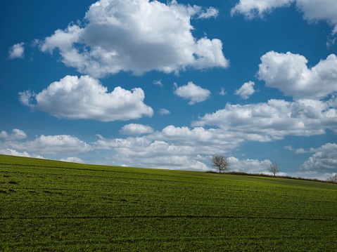 A green hill with a lone bare tree and a beautiful cloudy sky
