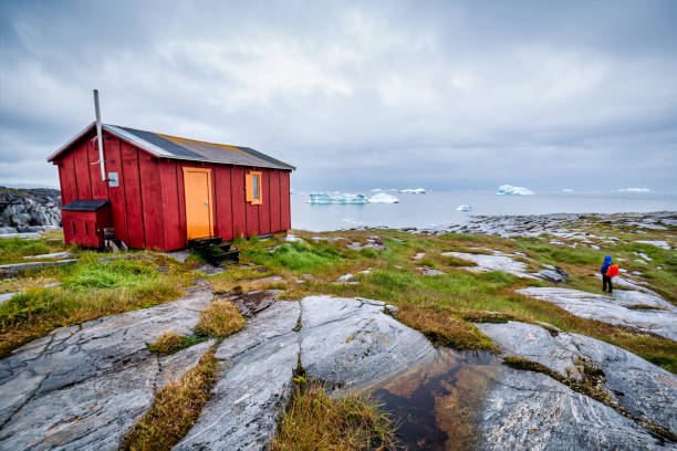 Tórshavn, Faroe Islands : July 21, 2024 Black Cat Sits on a Stoop in Front of a Charming Cottage Home. Tortie black cat. Front yard setting with landscaping. Located in Tórshavn, the capital city of the Faroe Islands.