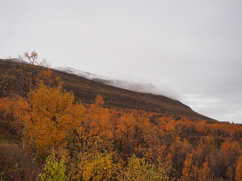 Landscape picture of Abisko National Park in the Swedish part of Lapland in the autumn season with snow covered mountains.