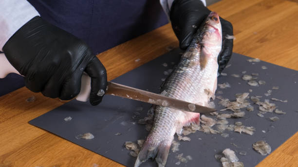 Hands scrub scales of a wild mullet fish. Peel fish from scales with sharp knife. Fresh fish cutting process. Unrecognizable cook cleans seafood. Cooking fish at home. Healthy food concept slow motion limpieza de peces salmonetes frescos de las manos de escamas con un cuchillo en el primer plano de la tabla de cortar. el cocinero irreconocible limpia el pescado. cocinar pescado en casa. platos de pescado de mar. concepto de comida saludable delicadeza