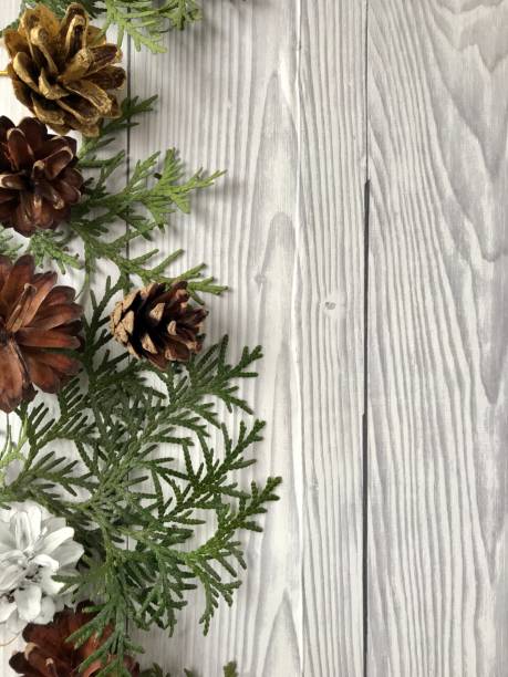 istock New Year's background from individual objects, cones and green thuja branches 1455744921
