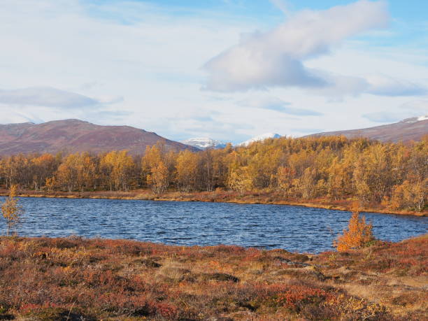 istock Fall season in the arctic nature 1455745787