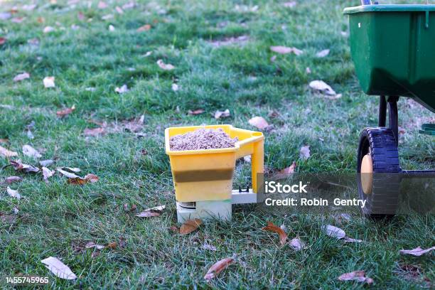 A Green Barrel With Weed And Grass Fertilizer Stock Photo - Download Image Now - Yard - Grounds, Chores, Springtime