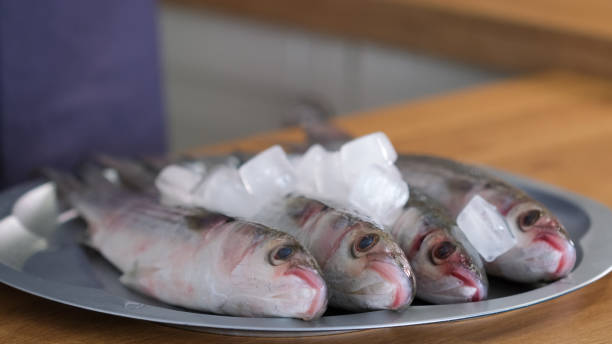 кефаль рыба на тарелке с кубиками льда. свежая рыба кефали. неузнаваемое кулинарное блюдо из морской рыбы. деликатесная концепция здоровог� - fish food raw ice стоковые фото и изображения