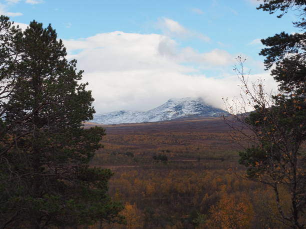 istock Fall season in the arctic nature 1455746849