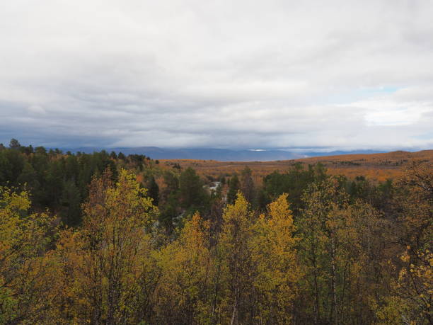 istock Fall season in the arctic nature 1455746950