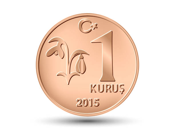 istock Coins of Turkey, one kurush. Turkish coin hand drawn vector. 1455747068