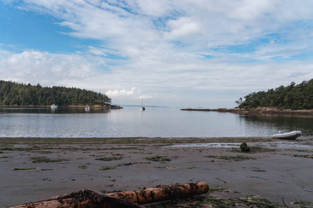 istock Pacific Northwest Beach With Boats 1455747081