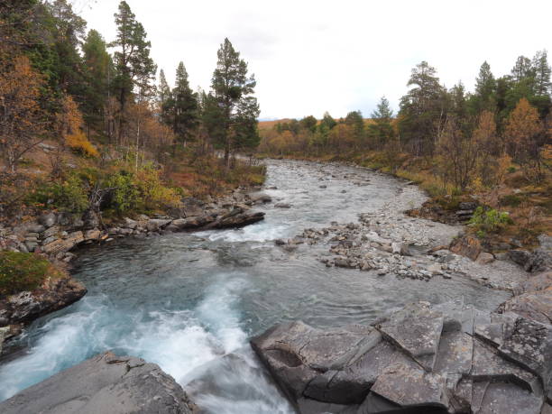 istock Fall season in the arctic nature 1455747160