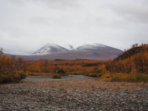 istock Fall season in the arctic nature 1455747223