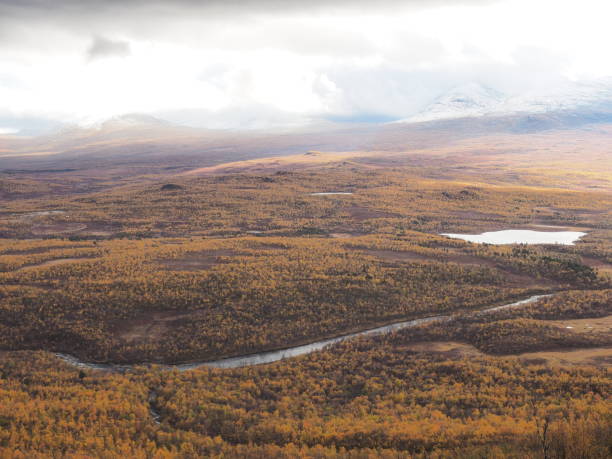 istock Fall season in the arctic nature 1455748403