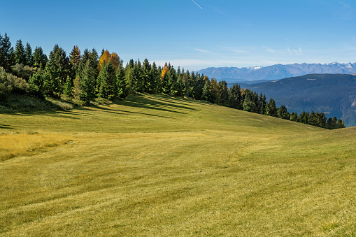 Green grassland in Kachreti village in georgian region Kakheti in summer days