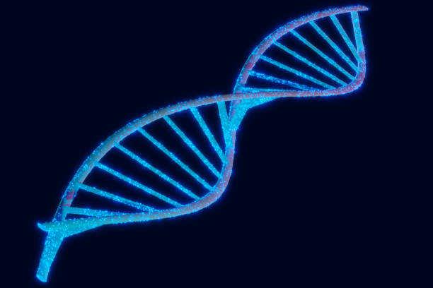 3D illustration Phosphate compounds, cytosine, thymine, adenine, guanine, human DNA chain nucleotides