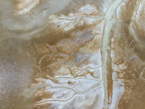 istock Aerial view of natural shapes and textures 1455763890
