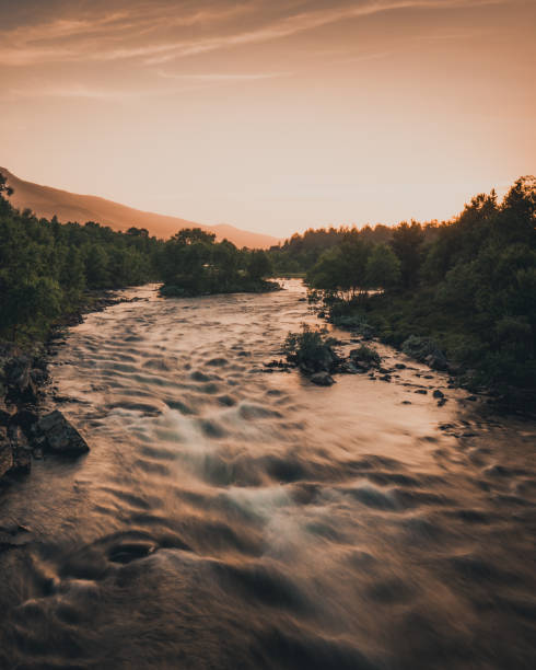 istock Mesmerizing view of the river flowing in the forest with trees during sunset 1455764371