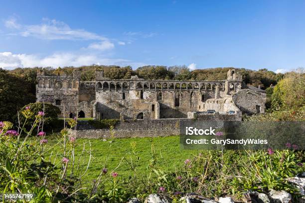 St Davids Bishops Palace In St Davids City Pembrokeshire Wales Uk Stock Photo - Download Image Now