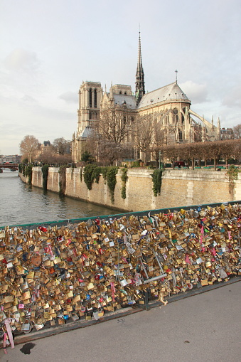 Locks on a bridge over the Seine river in Paris with the notre dame in the background