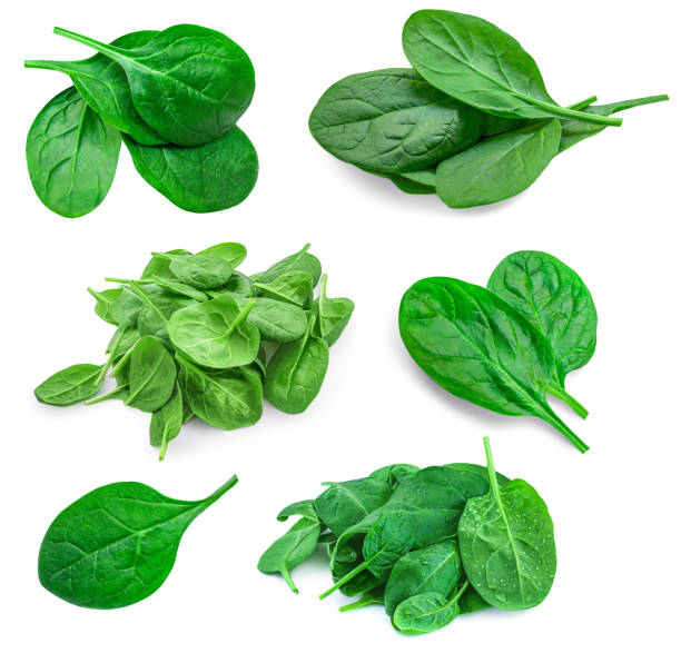 istock Spinach  leaves collection. Fresh spinach isolated  on white background. Flat lay. Food Set. Pattern 1455768062