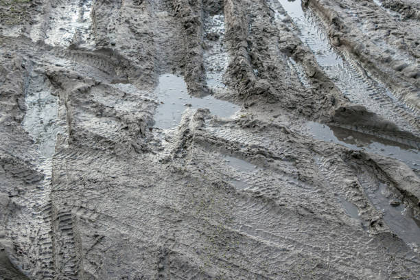 istock Dirt road after heavy rain. 1455768068