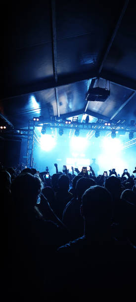 istock crowd dancing to music at a concert 1455768143